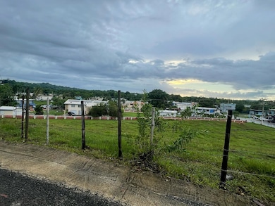 PR-417 Barrio Marias En Aguada, Aguada, PR 00602 - photo 2