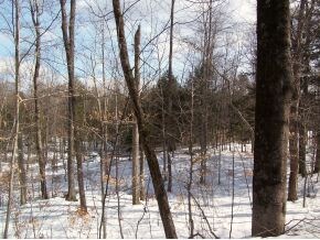 00 Newfane Hill Rd, Newfane, VT 05345 - photo 6