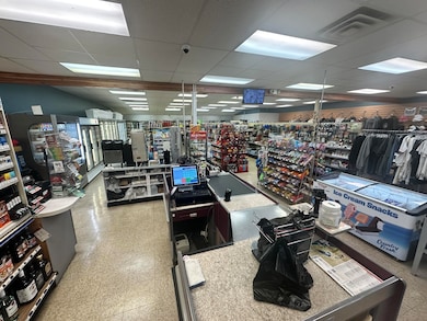 8587 W Silver Lake Rd, Mears, MI 49436 - photo 6