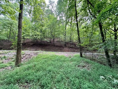 IMG_3036