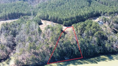Lot 59 Sipsey Overlook Rd, Double Springs, AL 35553 - photo 4