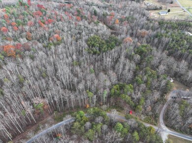 0 Pine Knoll Farms unit 104183, Stuart, VA 24171 - photo 6