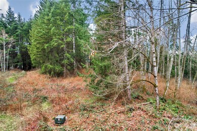 28408 Old 99 N, Stanwood, WA 98292 - photo 4