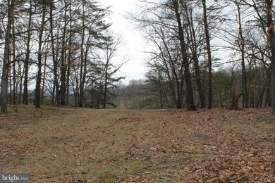 0 Push Root Rd unit WVMI111820, Burlington, WV 26710 - photo 7