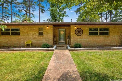 31 Stephenson Ln, Sheridan, AR 72150 - photo 4