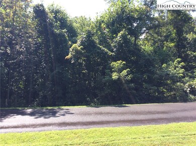 View of the lot from the road