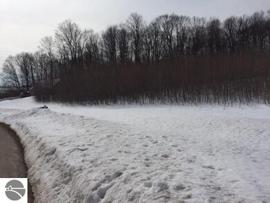 7424 E Meadows Dr unit 32, Cedar, MI 49621 - photo 3