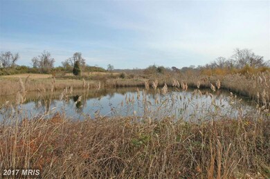 0 Pond Neck Rd unit 1001673633, Earleville, MD 21919 - photo 7