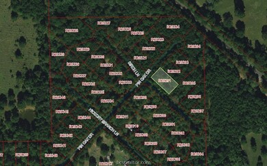 001 Pin Oak Dr, Plantersville, TX 77363 - photo 6