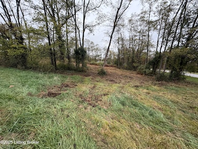 28 Freesia Ct, Brandenburg, KY 40108 - photo 6