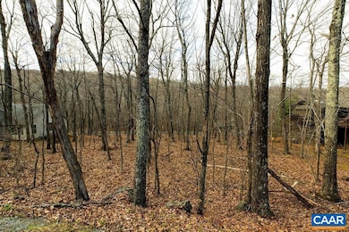 105 Den Tree Ln unit SHAMOKIN SPRINGS LOT, Roseland, VA 22967 - photo 3