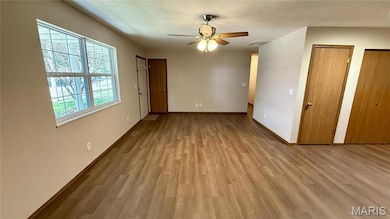 301 Ackerman Place, Troy, IL 62294 - photo 4