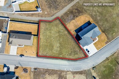 05-2037 ringneck loop-colville