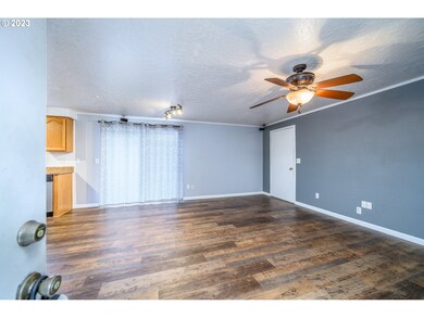 217 SW Jefferson St, Sheridan, OR 97378 - photo 3