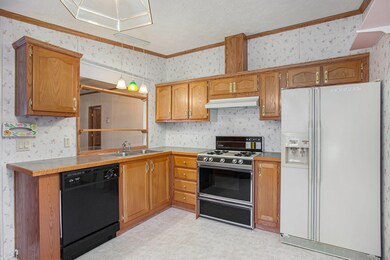 229 Maple St, Lowell, MI 49331 - photo 4