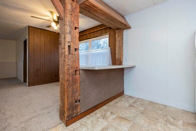 1706 Cedar_2023_2970
