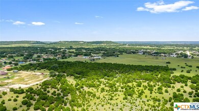 10.131 acres Hawk Ln, Kempner, TX 76539 - photo 5