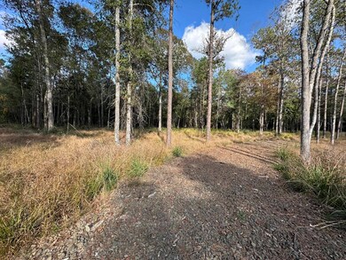 580 County Road 061 unit 580 County Road 061, Jasper, TX 75951 - photo 4