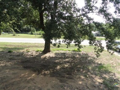 20513 Farm To Market Road 850, Arp, TX 75750 - photo 6