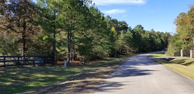 28040 Crossway Oaks, Magnolia, TX 77355 - photo 2