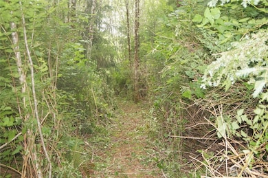 Trail on the ridgeline.