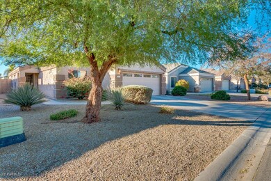 1373 E. Anastasia St
