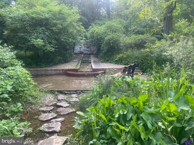 7002 Poplar Ave, Takoma Park, MD 20912 - photo 4