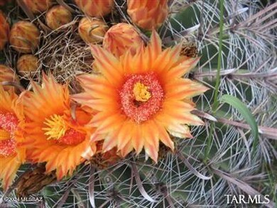 E2 68 E Tom Jeffords unit LOT 68, St. David, AZ 85630 - photo 3