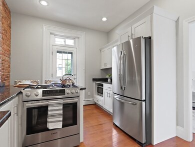 162 W Concord St unit 2, Boston, MA 02118 - photo 6