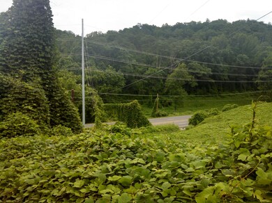 8505 Chapman Hwy, Knoxville, TN 37920 - photo 3