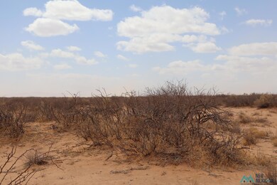 0 Ojo Rd SW unit 20251306, Deming, NM 88030 - photo 7