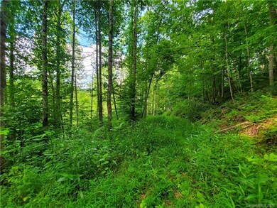 512 Langford Branch Rd, Cane River, NC 28714 - photo 4