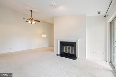 21 Rainflower Path unit 302, Sparks Glencoe, MD 21152 - photo 2