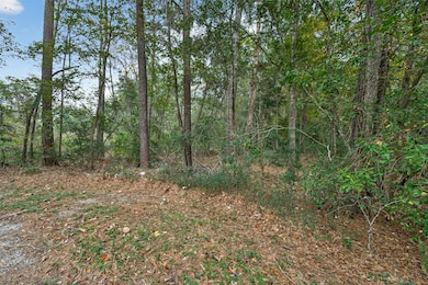 Lot 411 N Woods, Cleveland, TX 77328 - photo 3