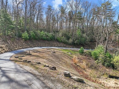 52 Lemongrass Trail unit W2, Hendersonville, NC 28791 - photo 5