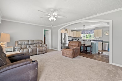 Living area featuring dark carpet, arched walkways, a ceiling fan, ornamental molding, and a textured ceiling