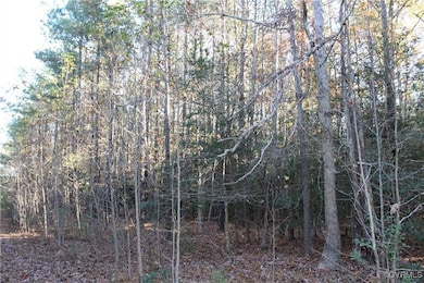 View of nature