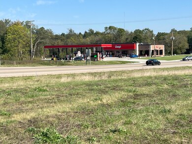 3509 E Lemon Creek Rd, Berrien Springs, MI 49103 - photo 4