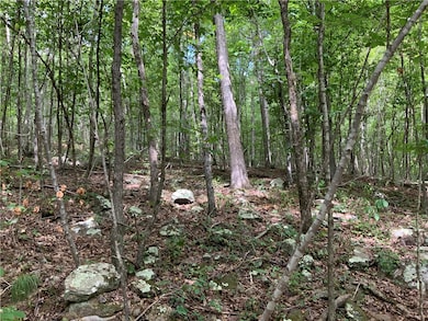 001 Madison 4316, Elkins, AR 72727 - photo 5