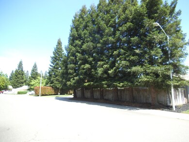 3293 Leonard St, Redding, CA 96002 - photo 4