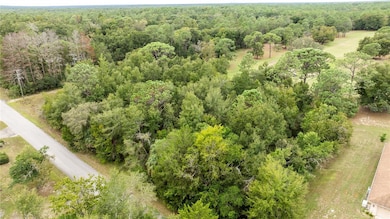 00 SW 204th Ct, Dunnellon, FL 34431 - photo 2