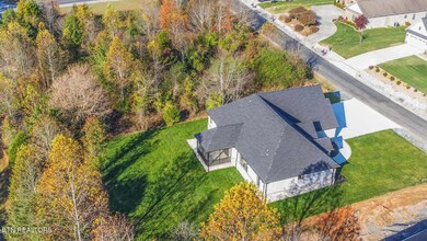 116 Walelu Trail, Vonore, TN 37885 - photo 6