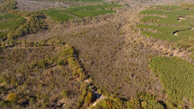 0 Old Highway 18 unit RTC2649682, Stewart, TN 37175 - photo 7