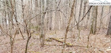 Lots 13-17 Panorama Dr, Todd, NC 28684 - photo 4