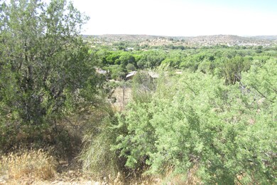 IMG_0763