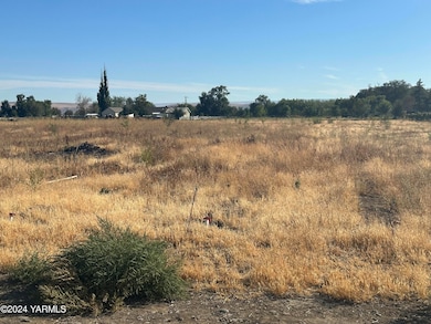 NKA Branch Rd, Toppenish, WA 98948 - photo 6