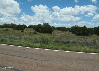 Concho 6