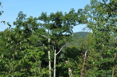 Lot 6 Bradway Rd, Monson, MA 01057 - photo 5