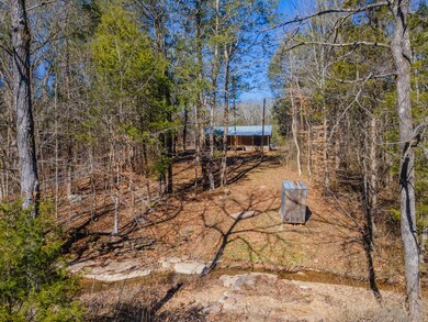 3527 Swindle Creek Rd, Linden, TN 37096 - photo 2