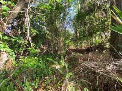 Peek into the lot from the east border.